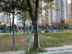 -光明港公园