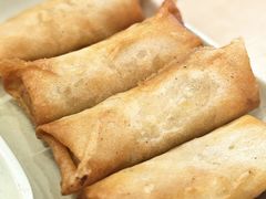 咖喱肉沫春卷-百家鸡味馆(清泰店)