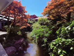 -中国茶叶博物馆(双峰馆区)