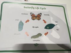 -奇尔思青少儿·语言·艺术·演讲(顾戴路店)