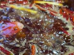 -王家渡火锅(三苏祠店)