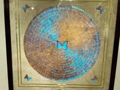 -上海昆虫博物馆