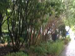 -上海市公安局出入境管理总队