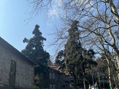 -莫干山风景区