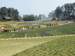 -保利石象湖景区