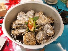 -千岛蚝高压锅生蚝·人参火锅(白云万达店)