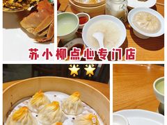 -苏小柳手工点心(人民广场分院)