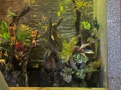 -泰适SPA馆丨精油·按摩·足道(后海地铁口店)