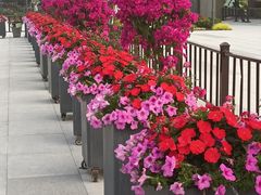 -上海植物园-4号门售票处