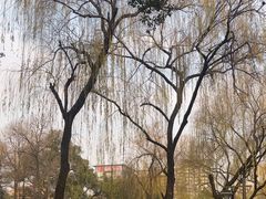 -墅园