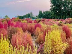 -汉长安城未央宫国家考古遗址公园