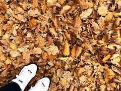 -九鼎铁刹山风景区