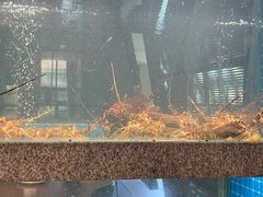 -码头鲜精致威海菜(欧乐坊店)