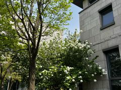 -苏州香山国际大酒店