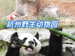 -杭州野生动物世界