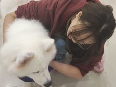 -共舞时光猫咖·狗咖(新街口店)
