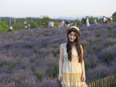 -大塘金香草谷