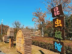 -茅山东方盐湖城景区