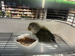 -瑞虹新天地月亮湾