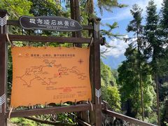 -梭布垭石林景区