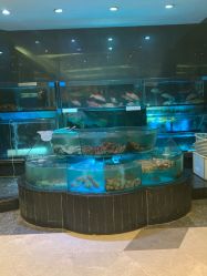 -金翠皇宫·宴会厅