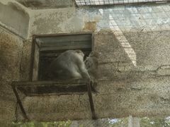 -黔灵山公园