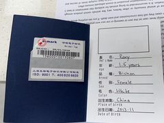-申普宠物医院·心脏介入·心血管微创(总院)