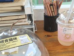 -有猫主题·治愈系猫咖(曾厝垵店)