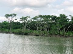 -东寨港红树林旅游区