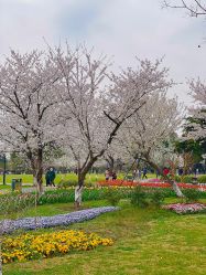 -玄武湖景区-情侣园游乐场
