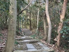 -宝石山