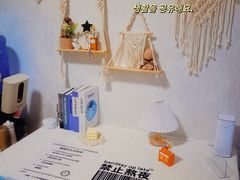 -今日·TODAY手作低脂动物奶油蛋糕定制(高新万达店)