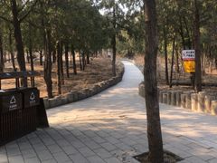 -白水寺森林公园