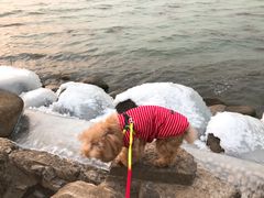 -苏州东太湖生态园