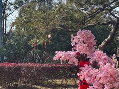 -常熟方塔园