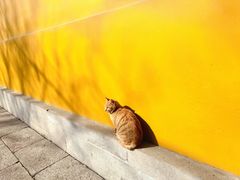 -西园寺