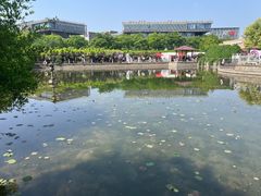 -嘉定紫藤园