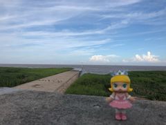 -南汇嘴观海公园