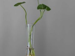 -花迹(富春江东街店)