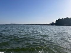 -东湖落雁景区