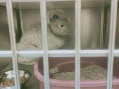 -萌兽医馆·犬猫专科·眼科中心·宠物医院(朝阳门分院)