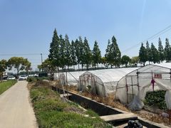 -小鱼草莓采摘园农家乐·小鱼餐厅