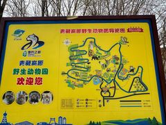 -青藏高原野生动物园
