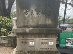 -紫金山天文台