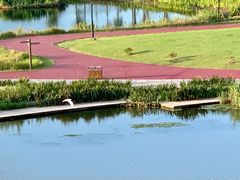 -春花秋色城市公园