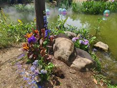 -人民公园(罗湖区)