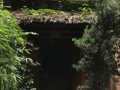 -翠湖里(翠湖南路店)