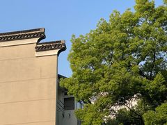 -西园戒幢律寺