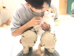 -飞行喵MR PILOT|猫舍·猫咖(静安大融城店)