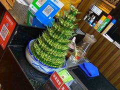 -御一坊盲人推拿(青年路店)